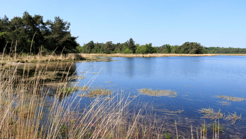 wandelnieuws kalmthoutse heide 2 shutterstock