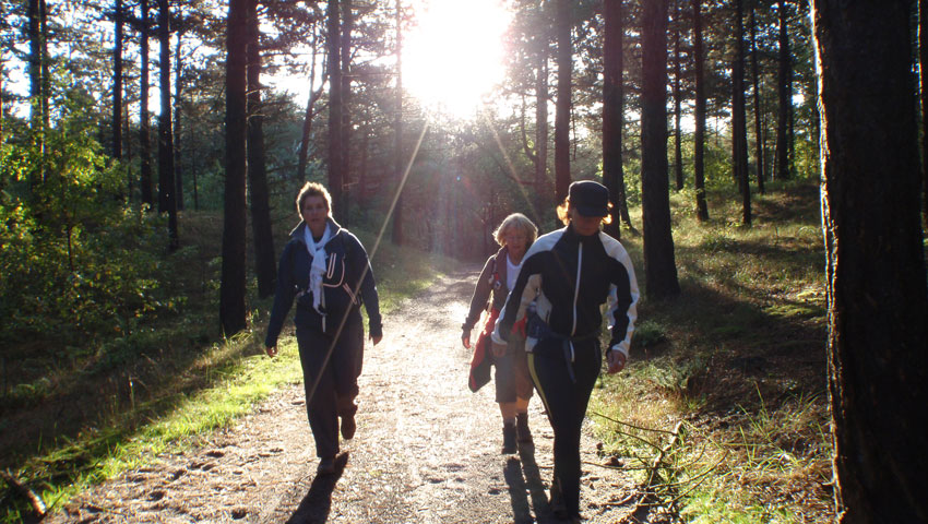 Schoorlse Duinen wandelvierdaagse