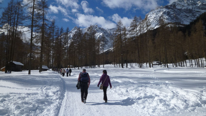 wandelnieuws sportwandelschool wintersport