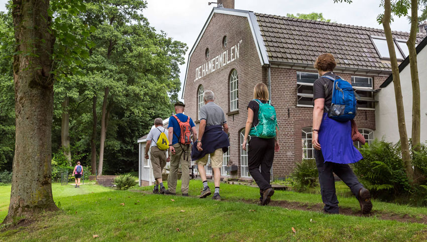 Cantharel Vierdaagse Apeldoorn