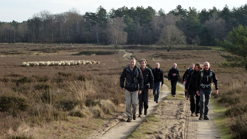 Op pad met de Wandelpool