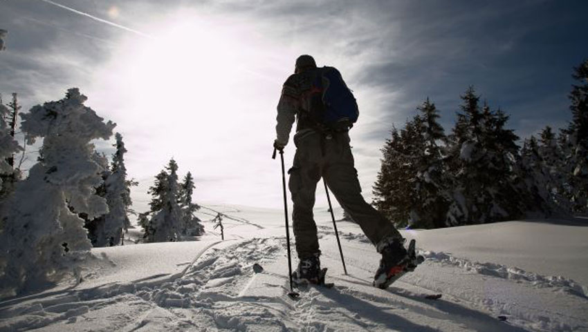 wandelnieuws langlaufer in de sneeuw in de harz img sachsen anhalt mbh andreas lander 