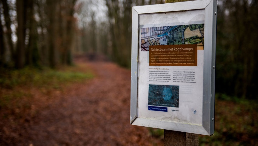 wandelnieuws loz plantloon 03