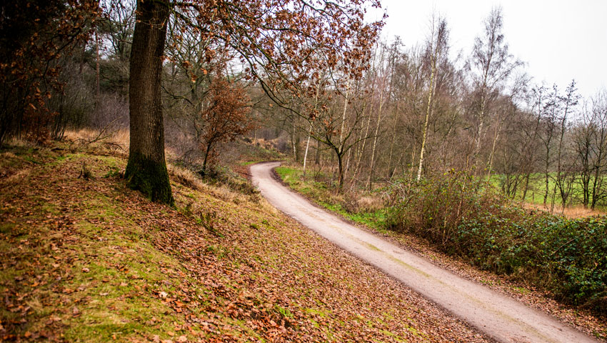 wandelnieuws loz plantloon 09