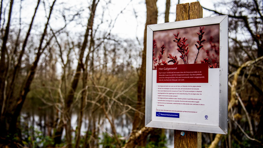 wandelnieuws loz plantloon 15