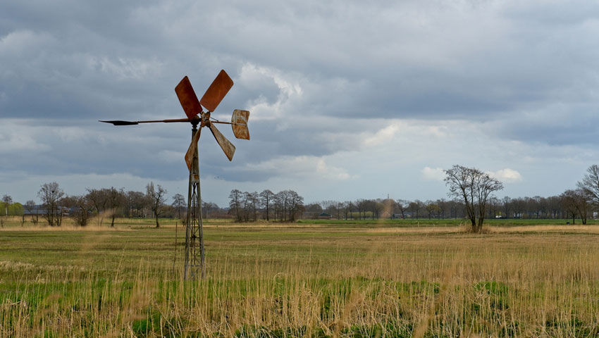 binnenveldse hooilanden wetlands
