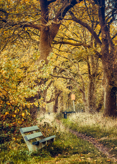 wandelnieuws wedde bankjebospad methaeikens