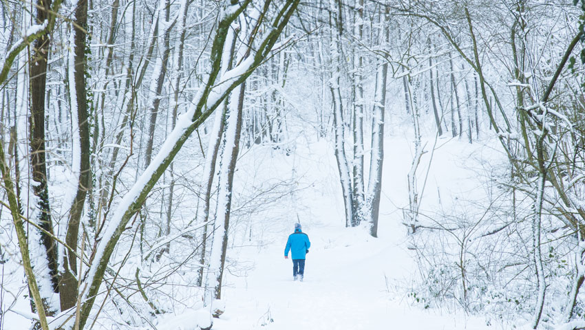 wandelnieuws landgoed nederrijk foto david brand
