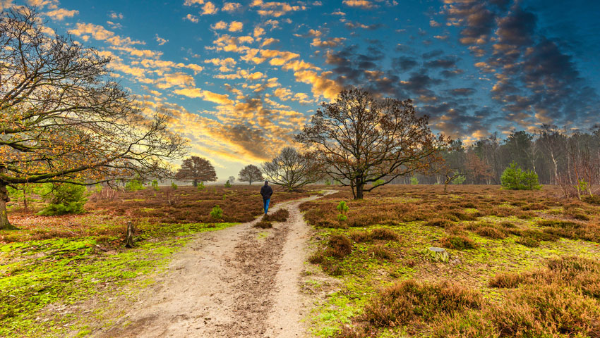 wandelgemeente maashorst landerd