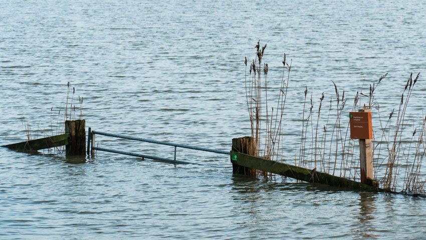 uiterwaarden hoog water wandelnieuws