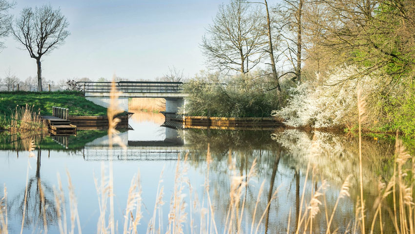 wandelnieuws westerwolde wedde brug kanaal metha eikens