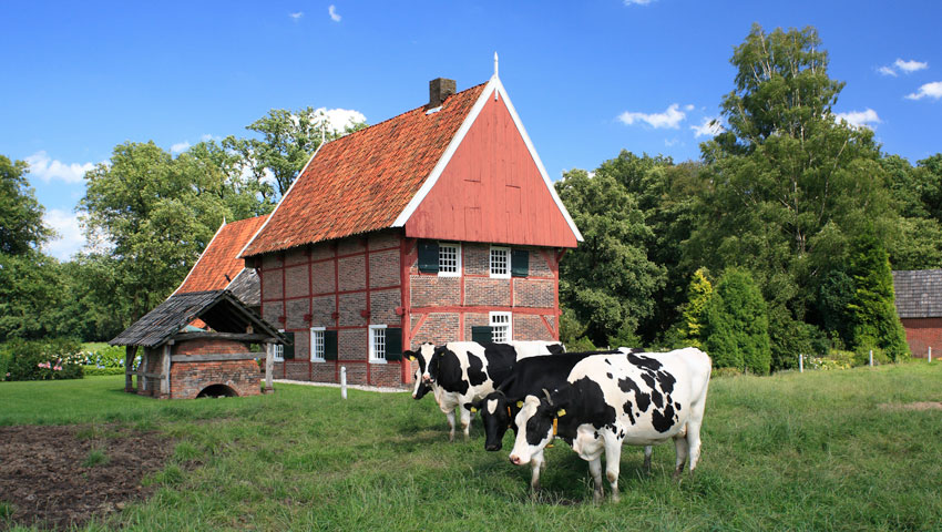 wandelen scholtenpad winterswijk