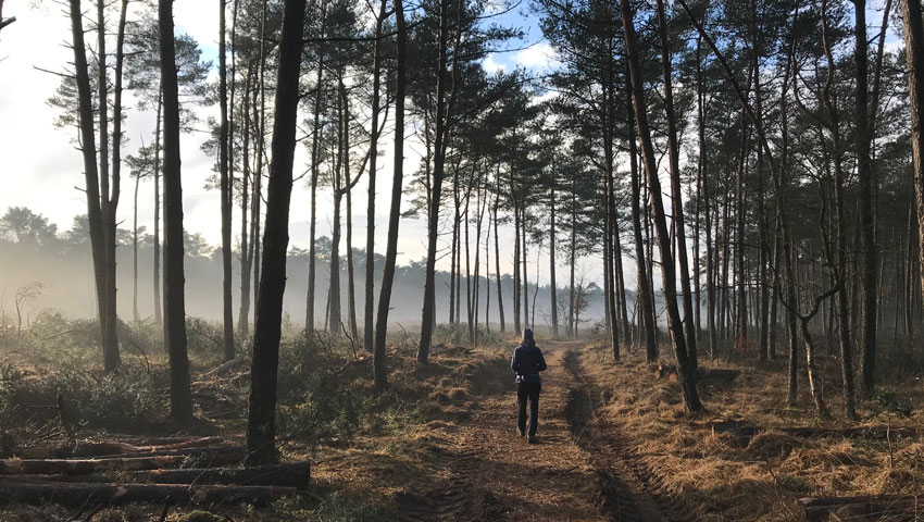 wandelnieuws austerlitz mist