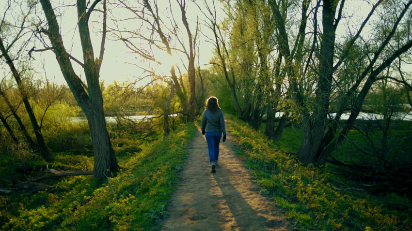 Millingerwaard wandelen