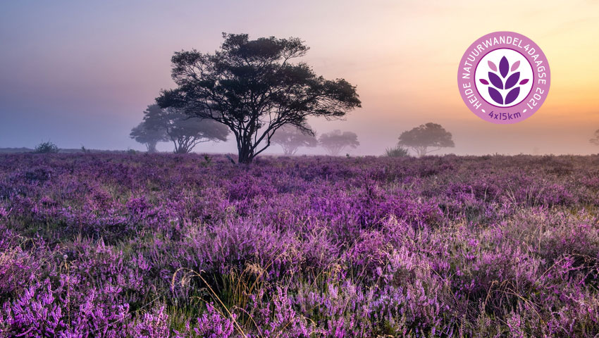 heide natuurwandel4daagse