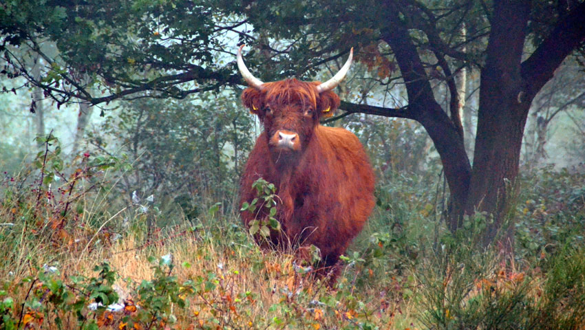 wandelroutes beleefroutes 2