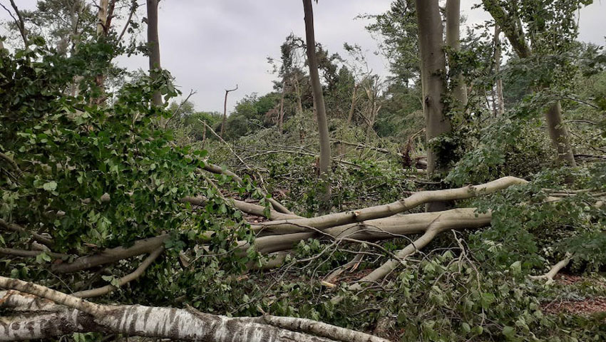 wandelnieuws leersum stormschade2