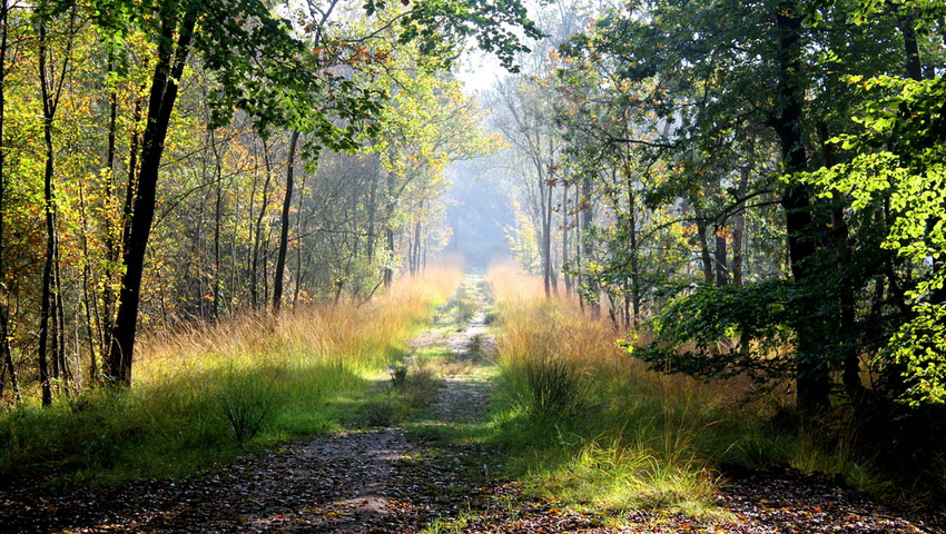 wandelnieuws bakkeveen shutterstock