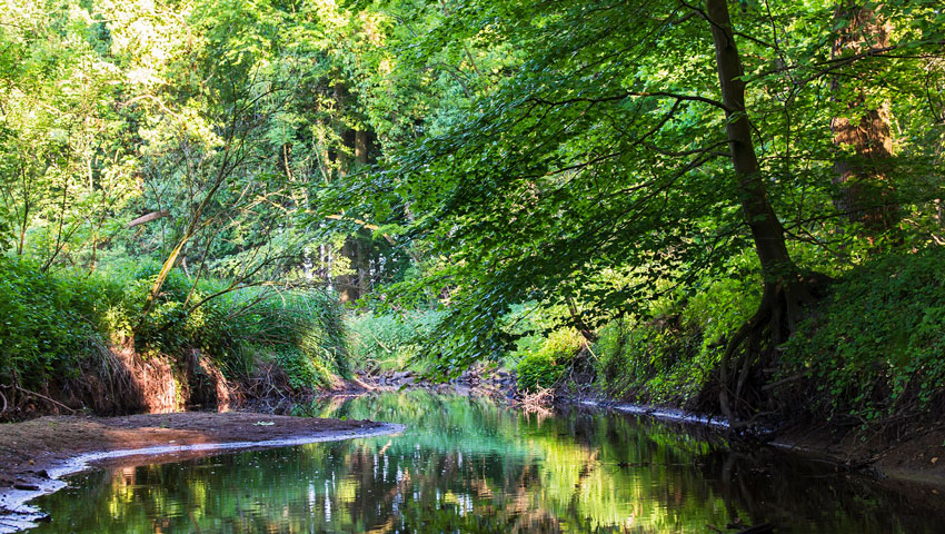 wandelnieuws bekendelle