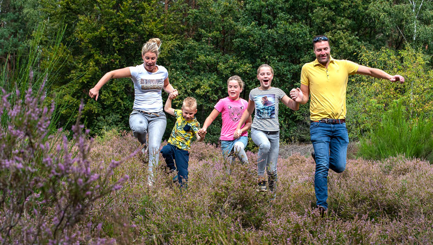 Rommelgebergte Winterswijk