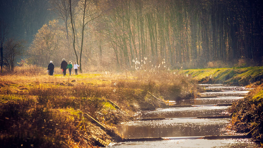 Ter Apel Westerwoldepad