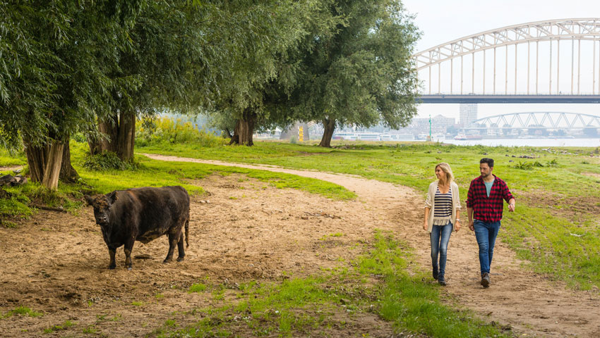 Waalbrug Nijmegen Arnhem