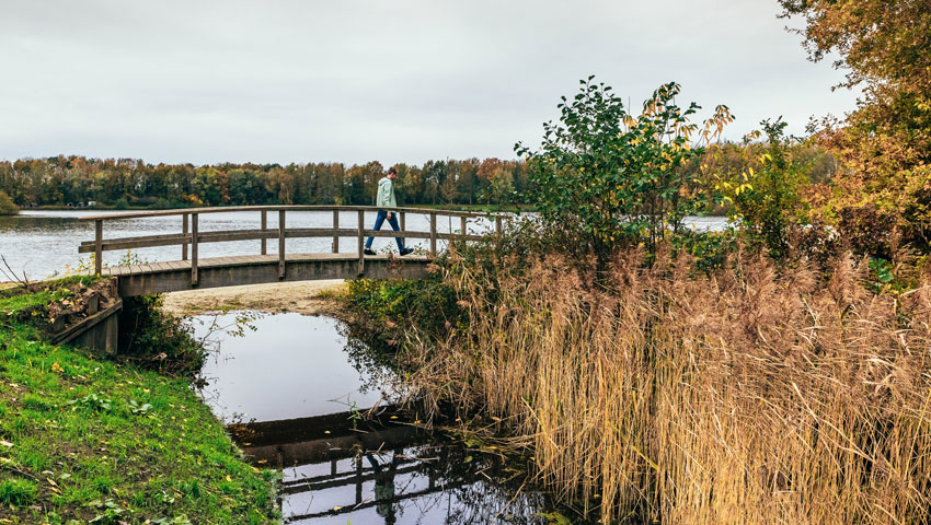wandelnieuws wedderbergen brug wandelaar metha eikens