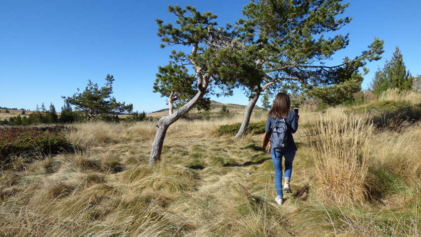 wandelnieuws 24webvertising