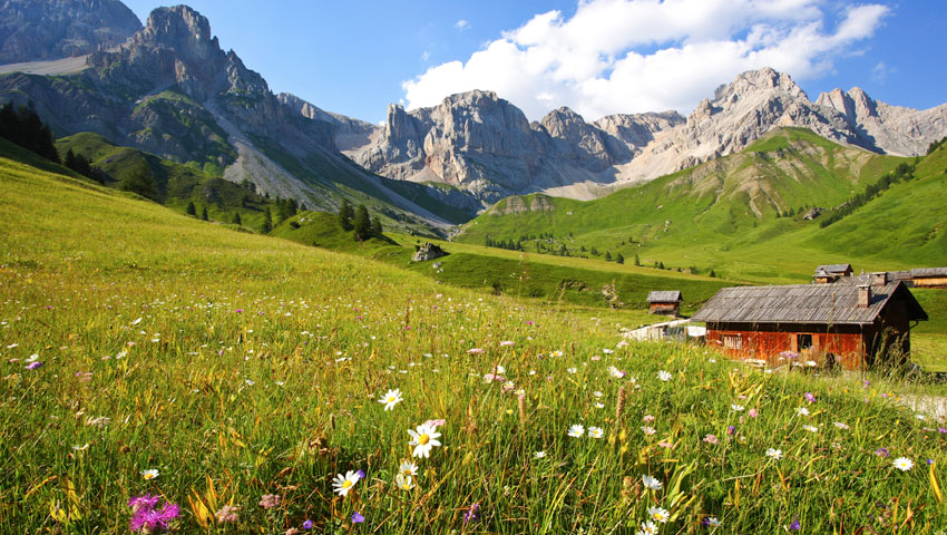 Bergweide en berghut Val di Fassa