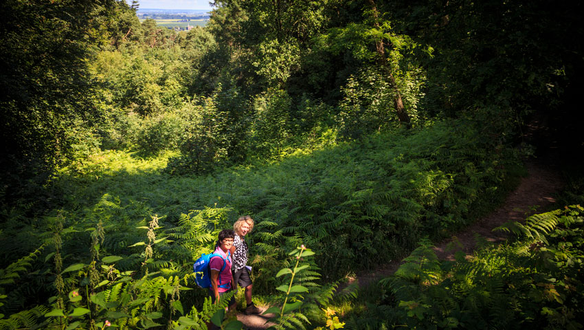 N70 route Berg en Dal