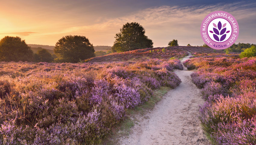 vroegboekkorting heide natuurwandel4daagse