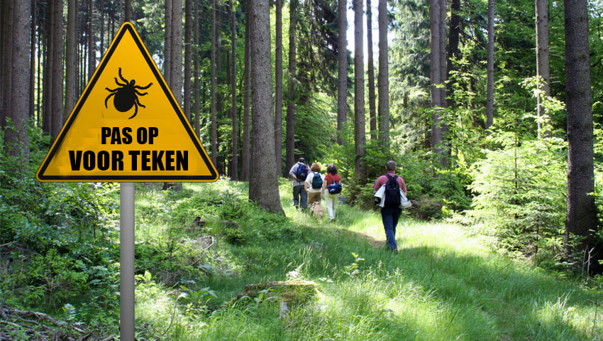 tekenbeet wandelaars