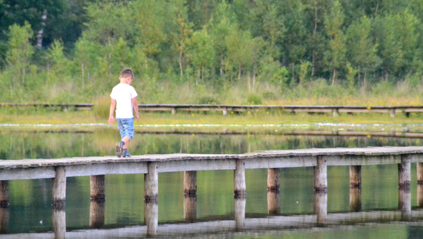 wandelnieuws wvhj huis ter heide vlonderbrug