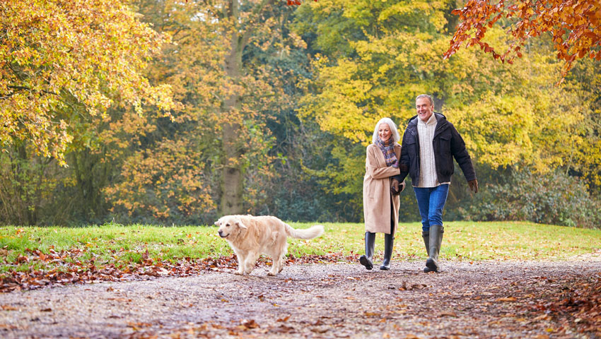wandelnieuws hondenroutes stel wandelen met hond herfst