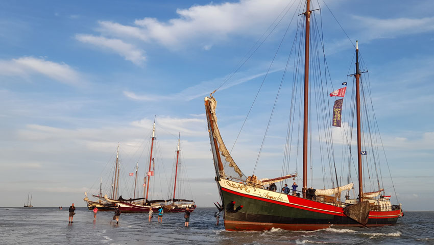 wandelnieuws waddentrips 2