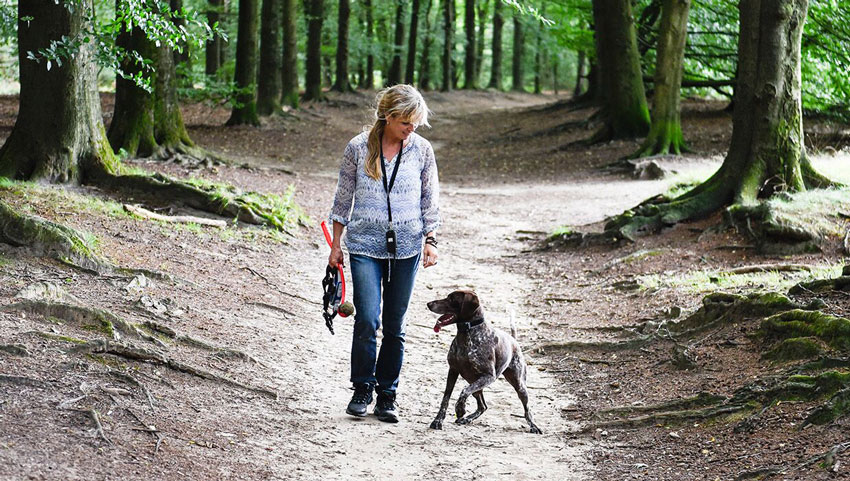 wandelnieuws wandelroute laarsenberg