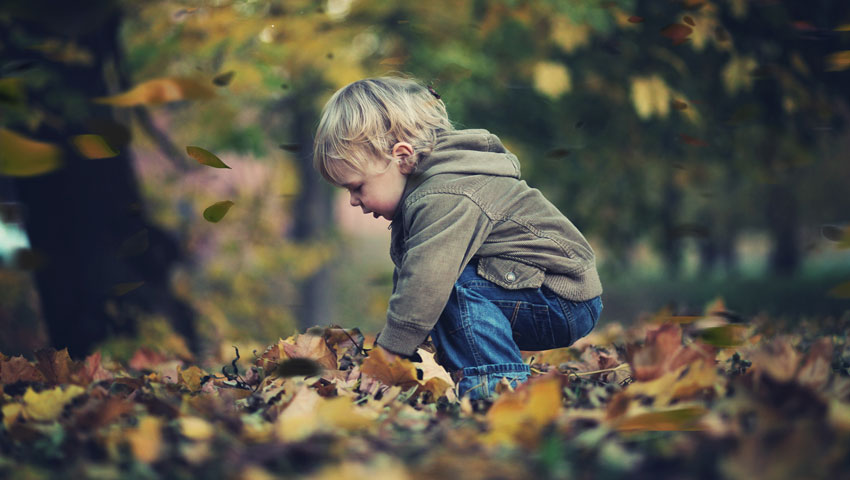 wandelnieuws kind bladeren herfst shutterstock