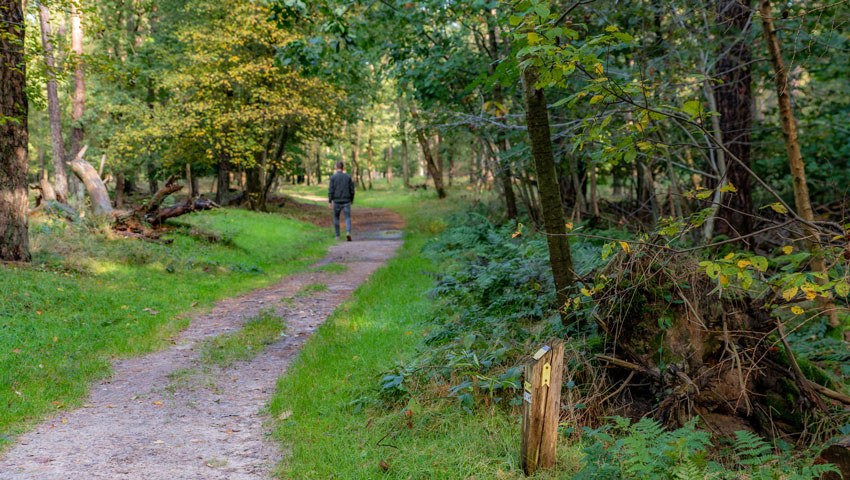 wandelnieuws oorlogswandeling dldd 12