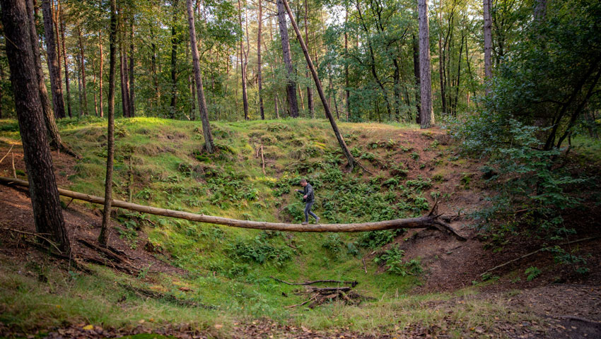 wandelnieuws oorlogswandeling dldd 20