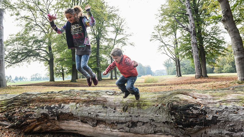 natuur herfst utrecht wandelen kinderen