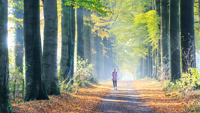 berg en dal herfst limesroute