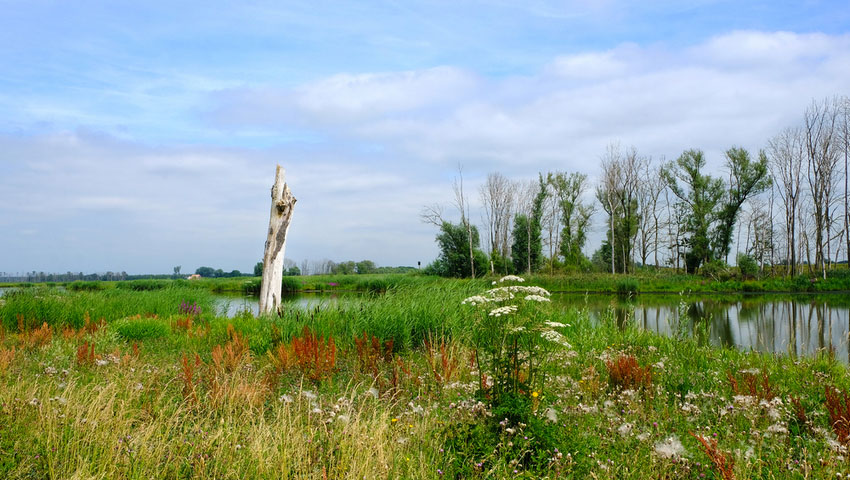 Biesboschpad streekpad wandelnet