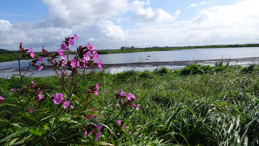 wandelnieuws hunzeloop 3