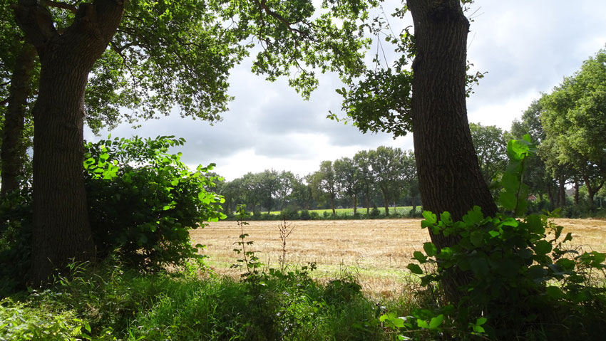 wandelnieuws hunzeloop 4