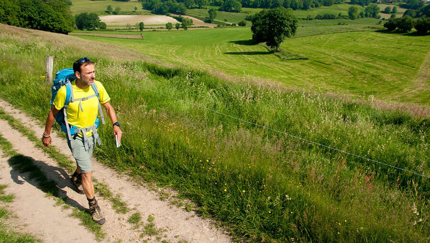 wandelnieuws snp nederland dmt
