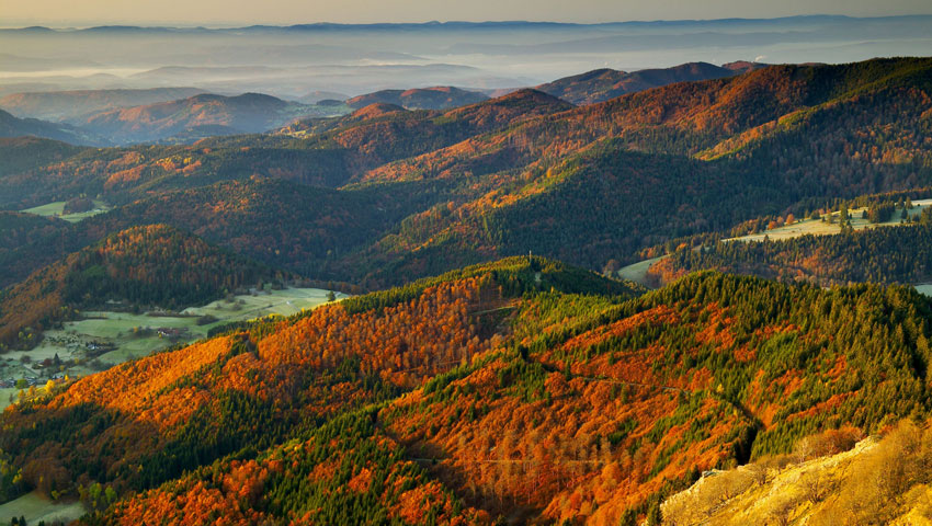 Belchen Westweg Zwarte Woud