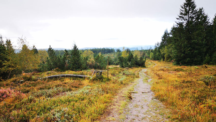 wandelnieuws westweg schliffkopf schwarzwald tourismus