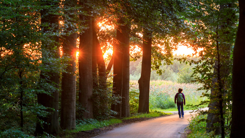 wandelnieuws doorn palmstad gooyerdijk jurjen drenth en hetty van ooijen