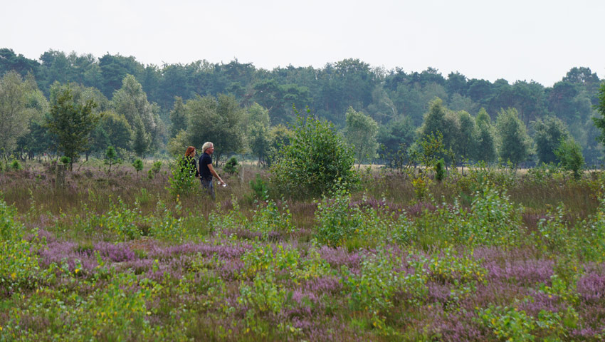 wandelnieuws gorsselse heide