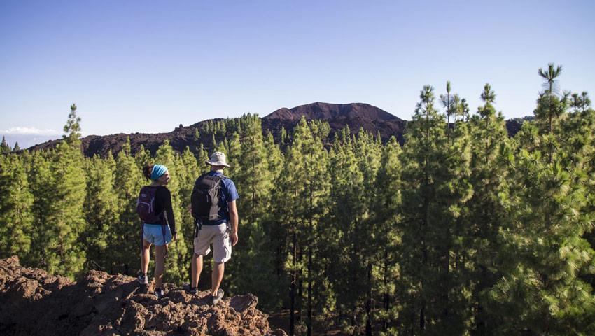 wandelnieuws pr tf 43 garachico montana chinyero gal01